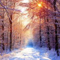 Short Story:  A Walk Through Winter