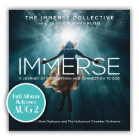 The Immerse Collective